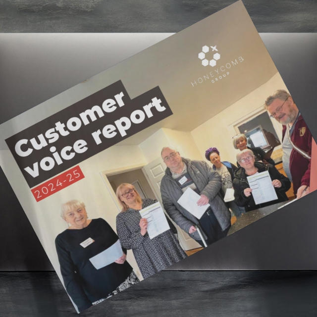 Customer Voice Report Image